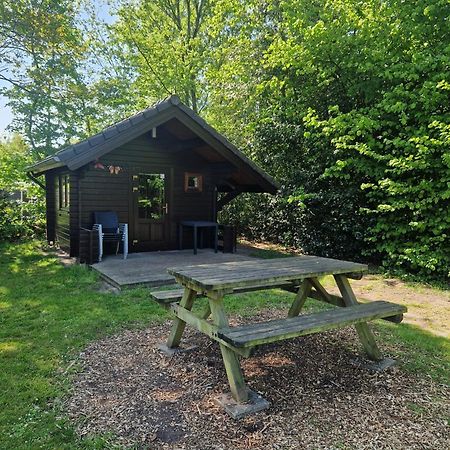 Camping Alkenhaer Appelscha Blokhut Basic Exterior foto